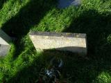 image of grave number 555101